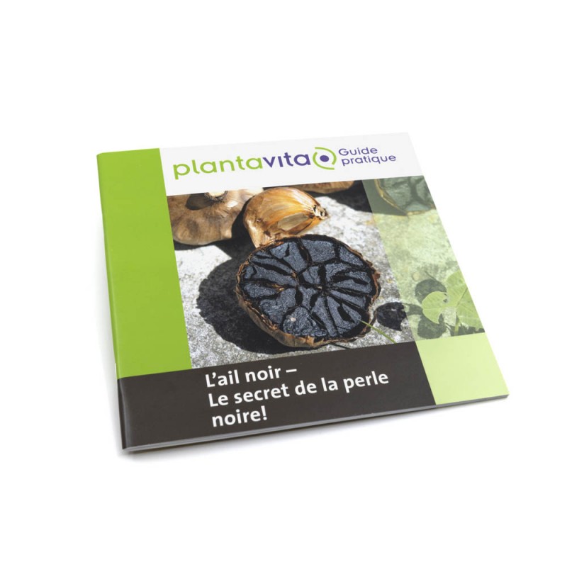 Guide pratique: l'ail noir