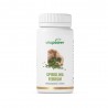 Spirulina Ferrum, eisenreich  | Vitapowershop