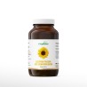 Lecithin Pulver, vegan | Vitpower Onlineshop