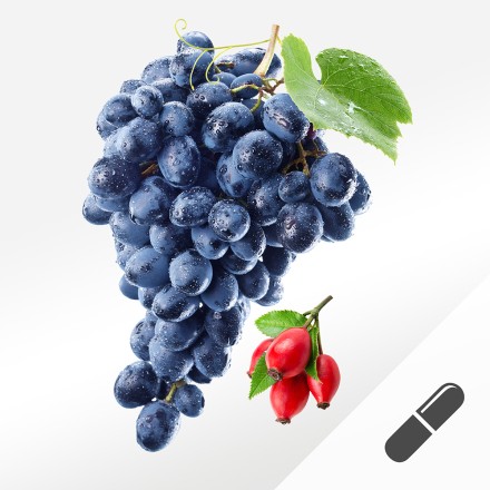 OPC Protect mit Resveratrol, Muster