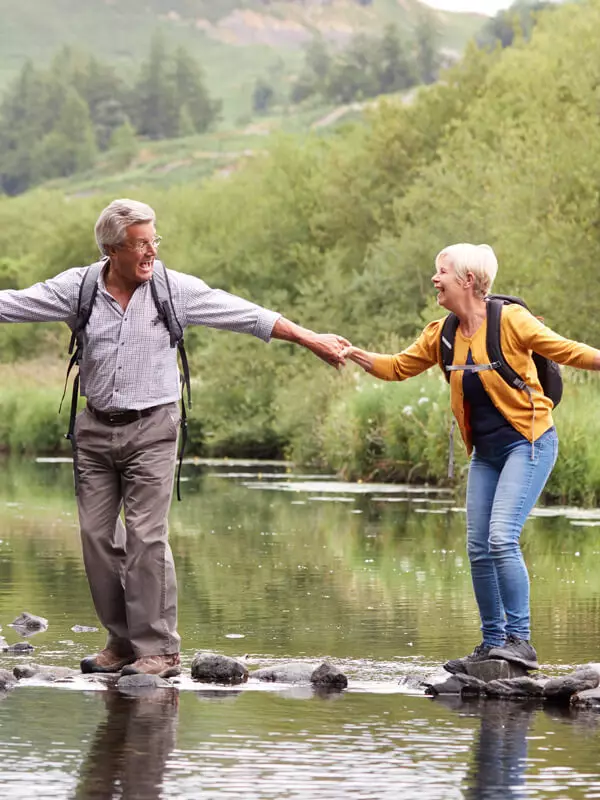 Biene und Schmetterling auf einer Blüte – Symbol für Honig/Blütenpollen (Energie/Stoffwechsel)