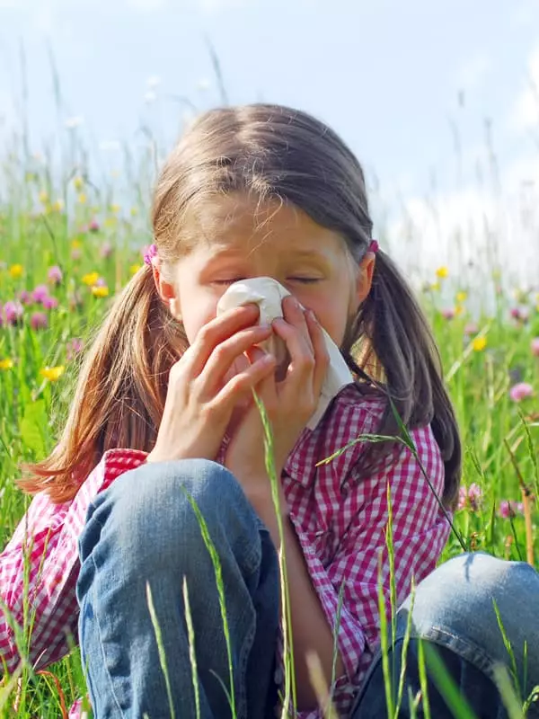 Biene und Schmetterling auf einer Blüte – Symbol für Honig/Blütenpollen (Energie/Stoffwechsel)