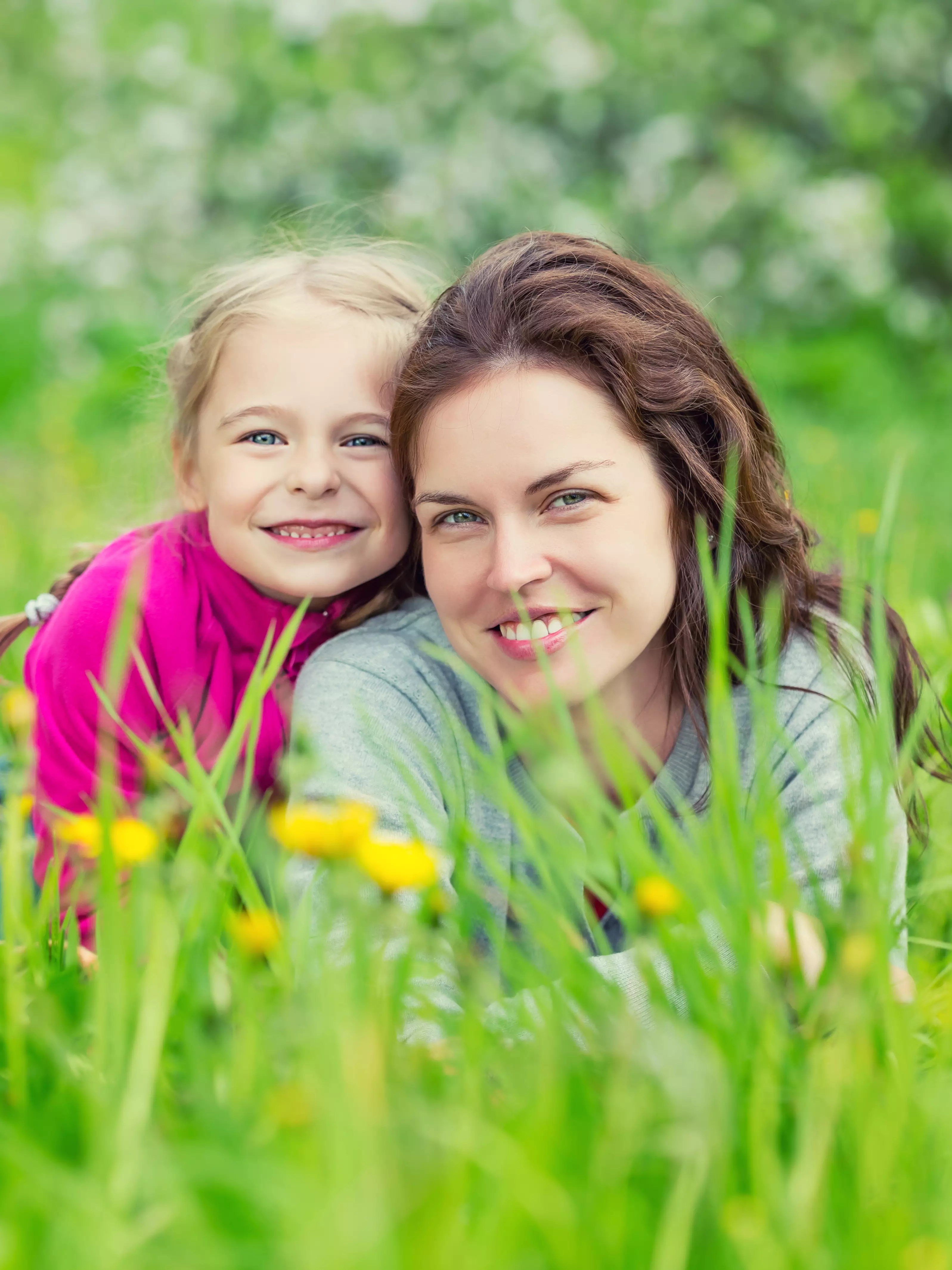 Biene und Schmetterling auf einer Blüte – Symbol für Honig/Blütenpollen (Energie/Stoffwechsel)