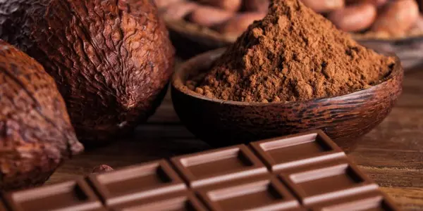 Kakaoflavanole fördern elastische Blutgefässe